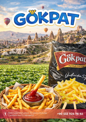 Gökpat e-katalog kapak görseli