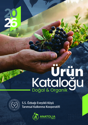 ANATOLIA e-katalog kapak görseli